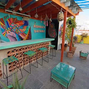 Monkey Safari Hostel