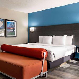 1 King Bed One Bedroom Apartment Non-Smoking