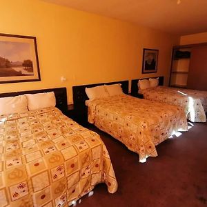 Basic Triple Room