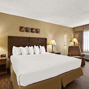 Suite King Bed Non-Smoking