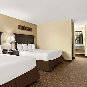 Suite Queen Bed Sofa Bed Non-Smoking