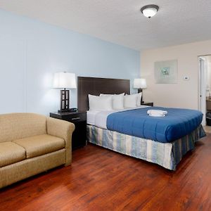 King Room Pet-Friendly