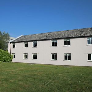 Basic Apartment