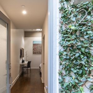 Without Window Queen Room