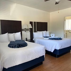 Double Room Two Double Beds