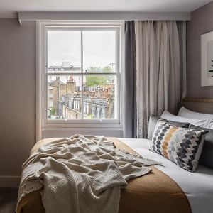 Cozy King Room