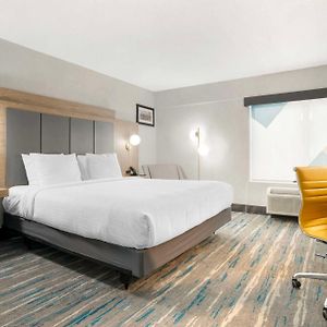 King Room Disability Access
