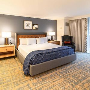 Premium King Room