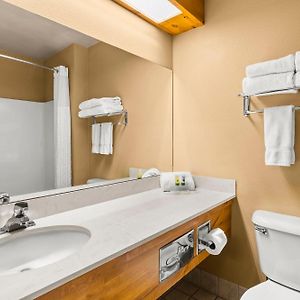 Queen Suite