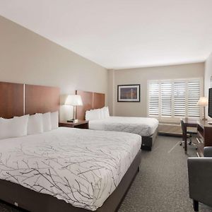 Queen Room Disability Access