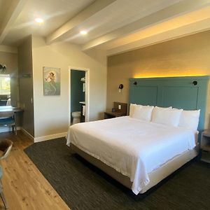 King Oceanview Room No Pets