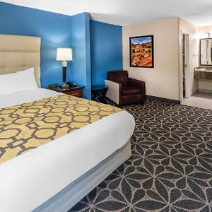 Queen Suite
