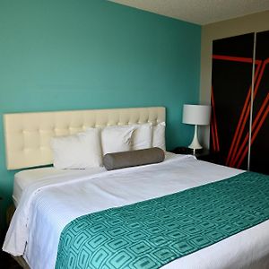 King Room Mobility accessible