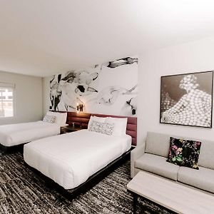 Queen Suite