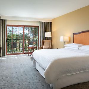 Deluxe Guest room 1 King Balcony