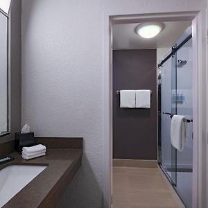 One-Bedroom King Suite