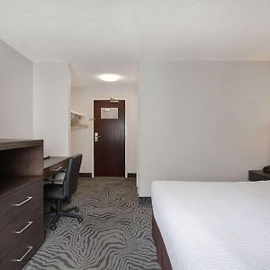 Premier Queen Room