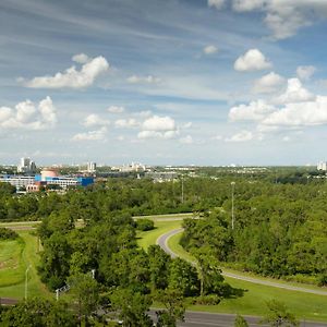Disney Springs View Guest room 2 Queen