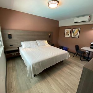 King Room Newly Renovated Building