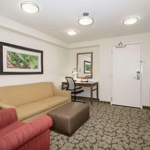 One-Bedroom King Suite