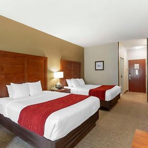 Queen Room Two Queen Beds Non-Smoking