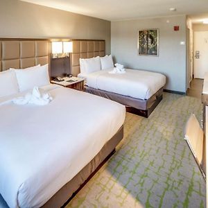 Queen Room Two Queen Beds