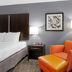King Room Mobility accessible