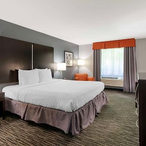 King Room Mobility accessible