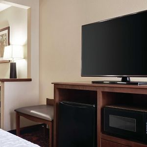 Executive King Room Sofa Bed Non-Smoking