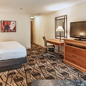 King Room City View