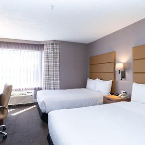 Standard Suite