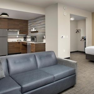 Queen Studio Sofa Bed Garden View Hearing Accessible