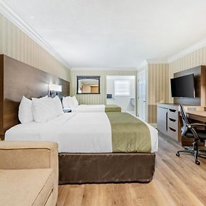 Standard Queen Room