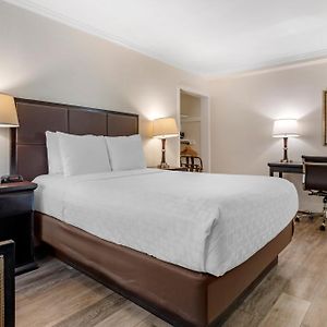 Queen Room Disability Access