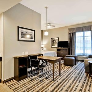 Studio Suite