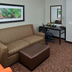 Junior King Suite Sofa Bed