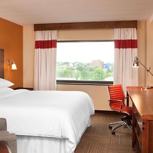 One-Bedroom King Suite