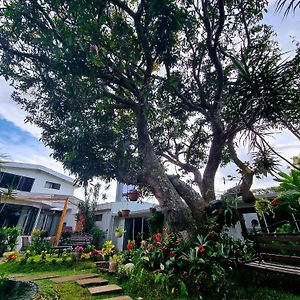 Casa Jardin Del Mango