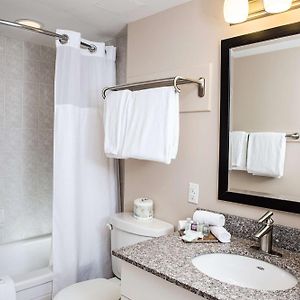 Premium Suite