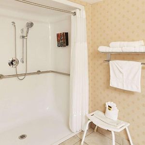 King Room Roll Shower Pet Friendly or Disability Access or First Floor