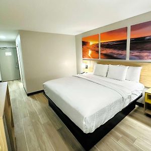 King Room Mobility accessible