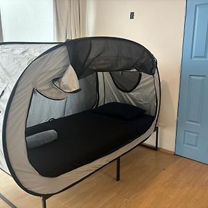 Dormitory Room Mixed