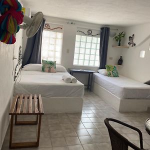 Private Bathroom Triple Room