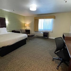 One Room Suite Sofa bed Non Smoking
