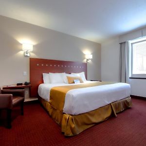 Efficiency King Room Mobility accessible