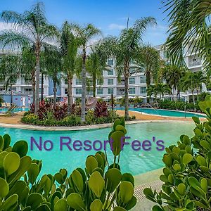 Apartment Pool View