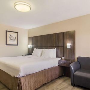 King Room Bay View Non-Smoking