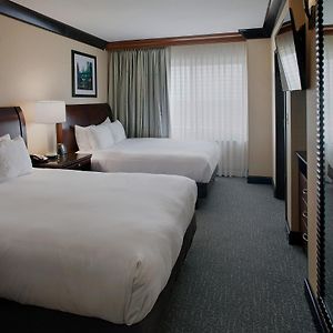 Deluxe Queen Suite
