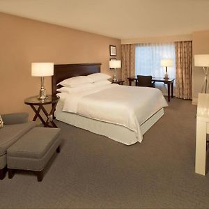 Guest Room 1 King
