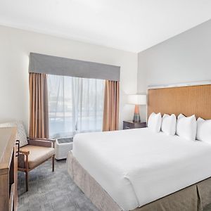 Deluxe King Suite